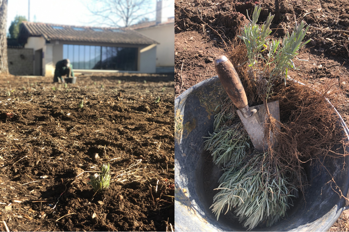 Vivre une expérience sensorielle unique proche de l'Ardèche