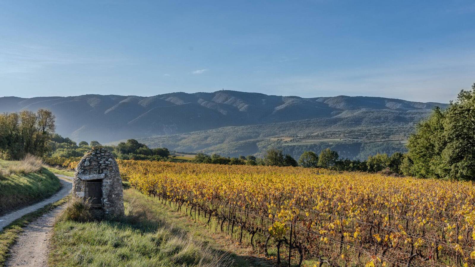 Office de Tourisme Apt Apt, Gargas, Ménerbes, Bonnieux, Lacoste, Lioux, Viens, Roussillon, Saint-Saturnin les apt Office de Tourisme - Pays d'Apt