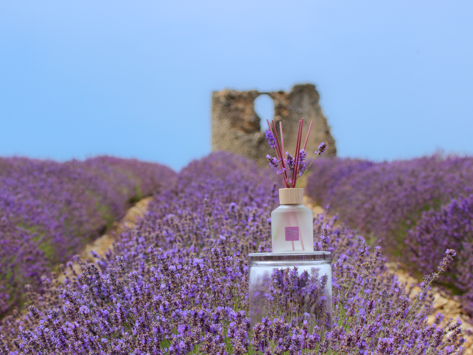 Parfum d'ambiance à la lavande fine au coeur des champs du Château du Bois