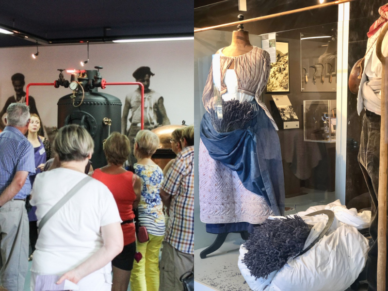 VIsite guidée du musée de la lavande Luberon 