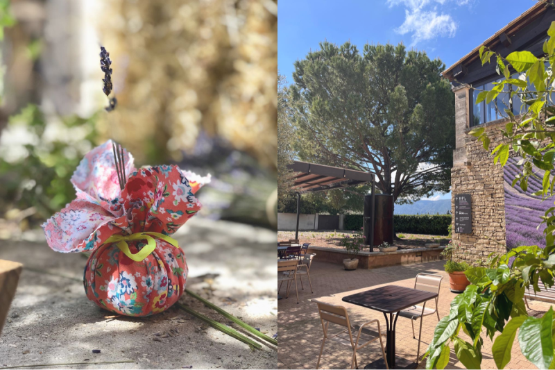 Atelier sachet de lavande dans les jardins du Musée de la Lavane Luberon 