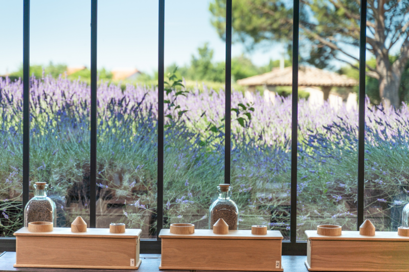 Atelier découverte sensorielle