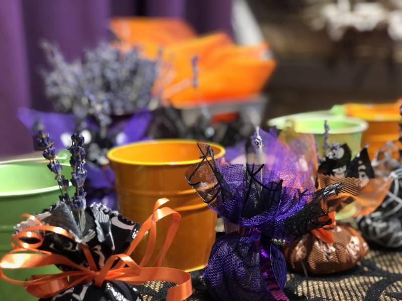 Halloween - Visite guidée Secrets de sorciers & sachet-potion magique