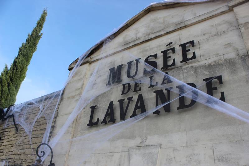 Après midi d'halloween avec plein d'ateliers