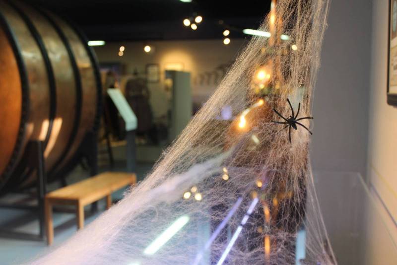 Visite guidée d'Halloween - Terrifiantes anecdotes sur la lavande de Provence et origines d’halloween