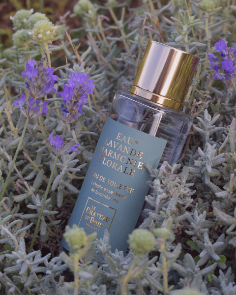 Parfums de créateurs à la lavande fine : la Provence rencontre Grasse