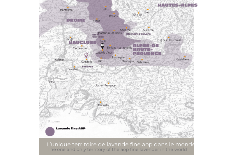 Quelle garanties apporte le Label AOP pour l'huile essentielle de Lavande?