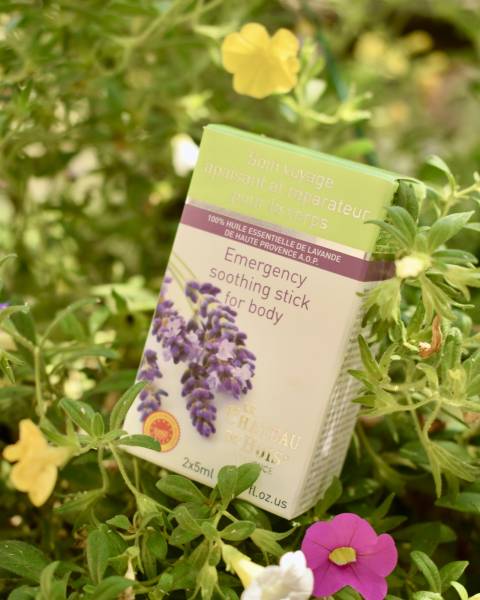 Boite d'huile essentielle de lavande fine format roll on