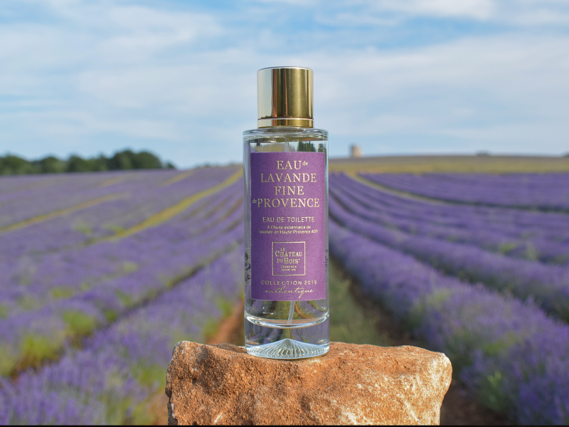 Acheter de la Lavande Vraie en Provence : Une boutique de producteur