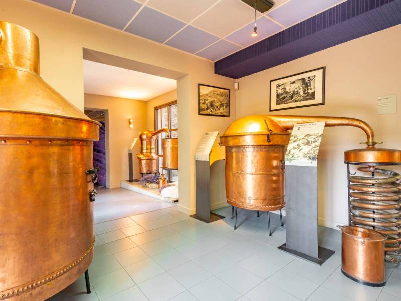 belles collection d'alambics en cuivre rouge, parfums et étiquettes de parfumerie au musée de la lavande Luberon 