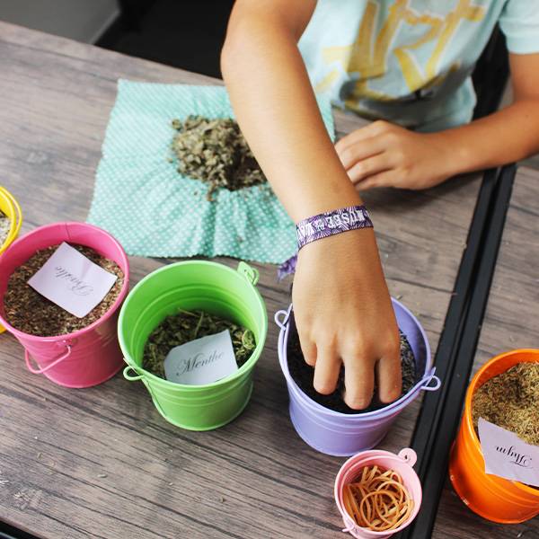 atelier sachet de lavande pour enfants 