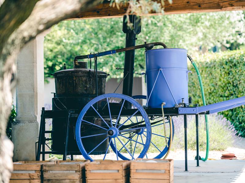 Alambic itinérant dans le jardin du musée 