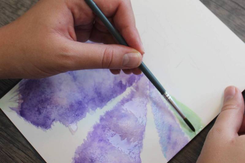 Peinture à l'aquarelle parfumée au Musée de la Lavande Luberon, proche d'Avignon