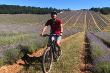 Musée de la Lavande -  Visite de musée immersive pour passionné de lavande à Apt 84400