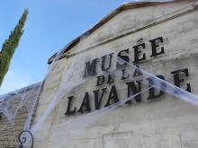Musée de la Lavande -  Apprendre comment se récolte la lavande à Apt 84400