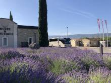 Musée de la Lavande -  Vivre une expérience sensorielle unique en Provence