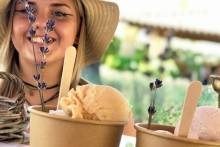 Découvrir le musée de la lavande  à Avignon dans le Vaucluse