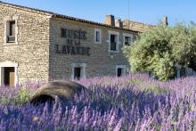 Découvrir le musée de la lavande  près d'Aix-en-Provence 13100