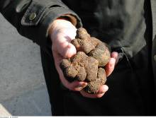 Découvrir le musée de la lavande  à Coustellet dans le Luberon