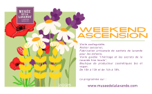 Musée de la Lavande -  Visite de musée immersive pour passionné de lavande à Coustellet dans le Luberon