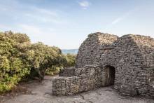 Découvrir le musée de la lavande  près de Saint-Rémy-de-Provence dans les Alpilles
