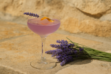 Musée de la Lavande -  Apprendre comment se récolte la lavande proche de Valensole 04210