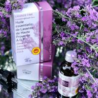 Musée de la Lavande -  Ateliers ludiques et pédagogiques sur la lavande à Avignon dans le Vaucluse